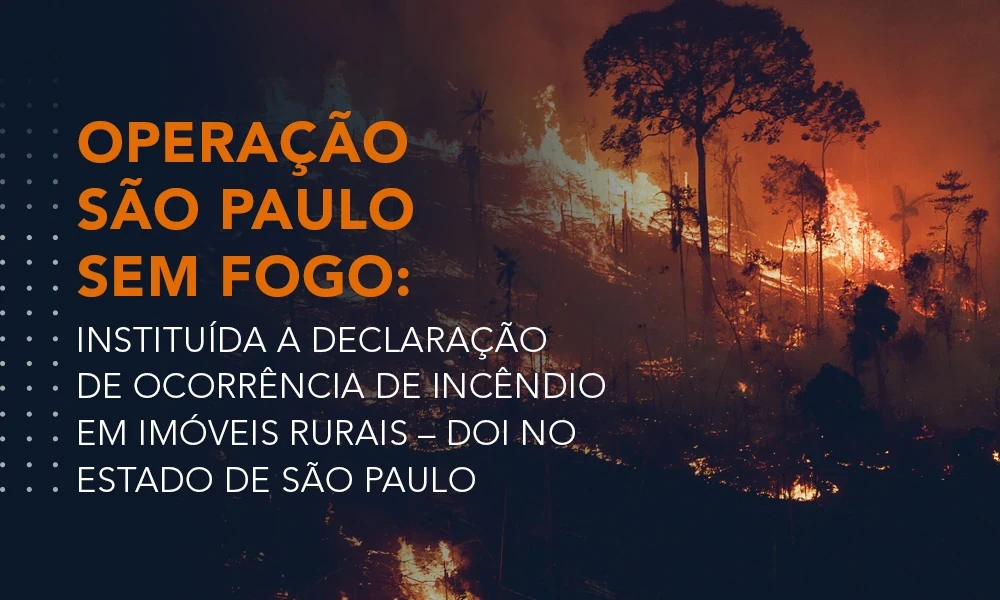 Operação São Paulo Sem Fogo