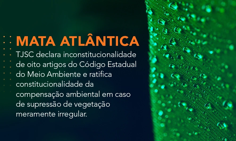 Mata Atlântica